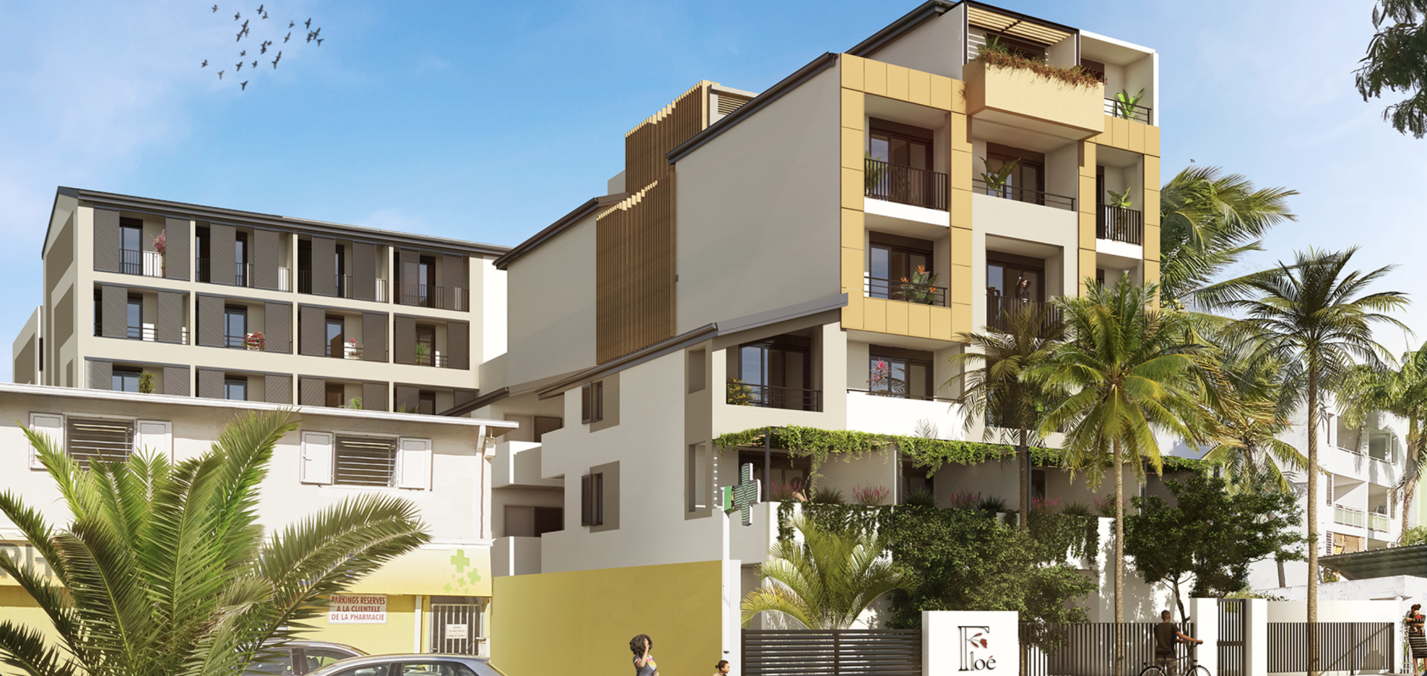 Agence immobilière de NATO IMMOBILIER 974
