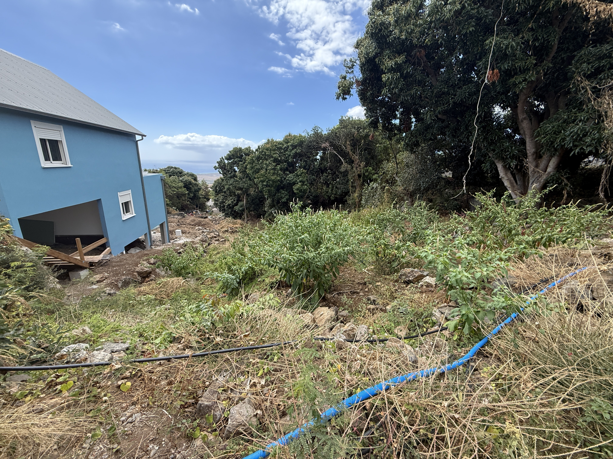 Agence immobilière de NATO IMMOBILIER 974